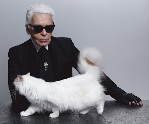 Mot ngay  lang man trong co doc  cua Karl Lagerfeld