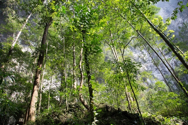 6 dem ben trong Son Doong - ‘khong co o bat cu dau tren hanh tinh’ 