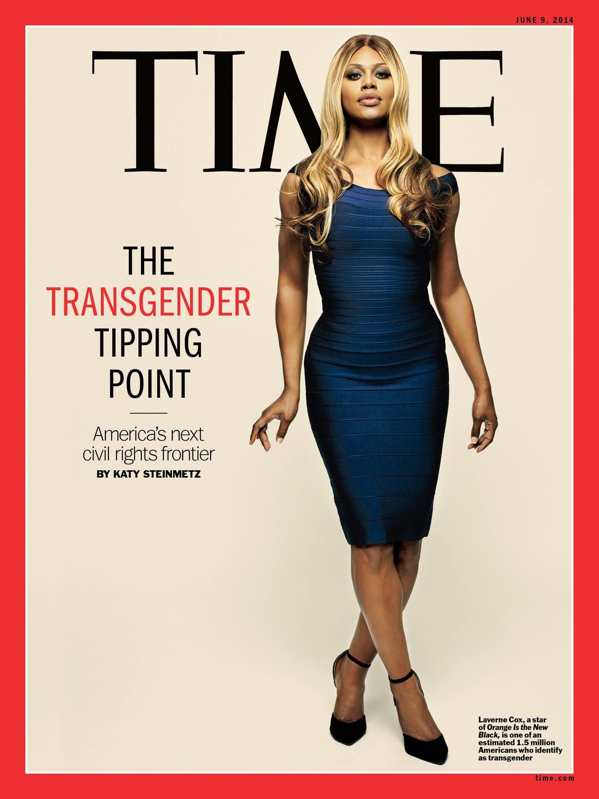 Nguoi mau chuyen gioi, nguoi chuyen gioi, Laverne Cox