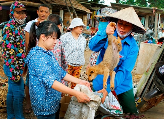 Hoai niem ngay xua cu o cho que giua long Ha Noi-hinh-anh-10