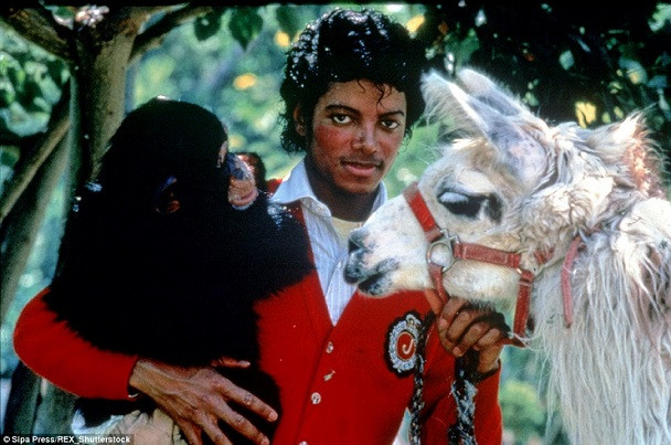 ‘Dot nhap’ khu biet thu 100 trieu USD dang duoc rao ban cua Michael Jackson-hinh-anh-15