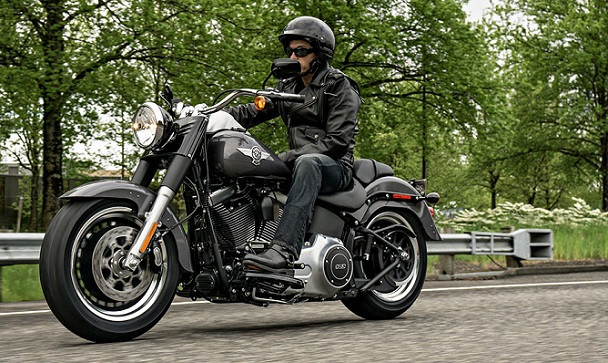 Top 10 mau xe moto Harley Davidson duoc ua chuong nhat nam 2015-hinh-anh-16
