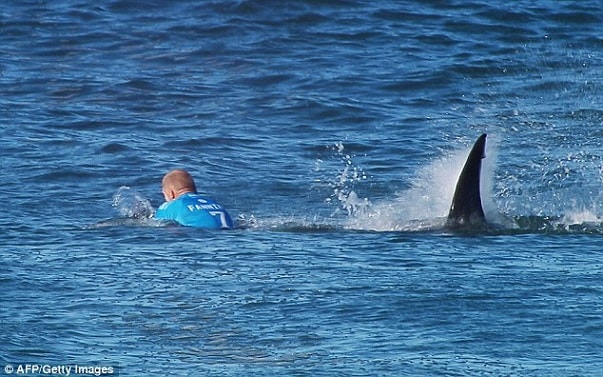 Cuoc song giau sang khien nhieu nguoi ghen ty cua Mick Fanning-hinh-anh-3