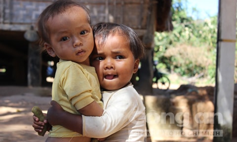 thung lung, sam dang, sam ngoc linh, nui ngoc linh, kon tum, deo mang roi