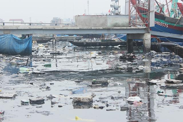 Theo quan sát, rất nhiều rác rưởi sinh hoạt xả vô tội vạ xuống cảng cá. Mặt nước đen ngòm bùn tanh, hễ có gió là bốc lên mùi rất khó chịu.
