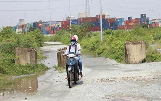TP.HCM rà soát ngay các dự án bỏ hoang gây phát sinh lăng quăng, muỗi 