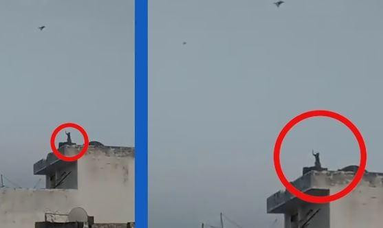 Clip khỉ lên sân thượng thả diều gây sốt mạng xã hội 