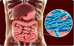 Chẩn đoán chính xác bệnh tăng huyết áp động mạch phổi qua hệ vi sinh đường ruột 