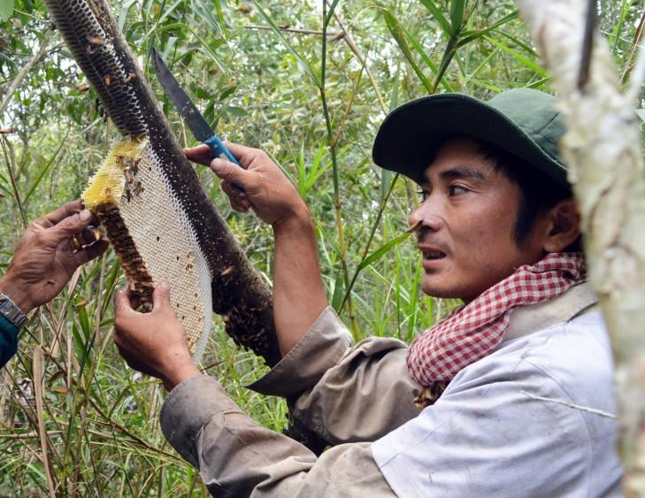 Gác kèo ong và Muối ba khía là di sản văn hóa phi vật thể quốc gia 