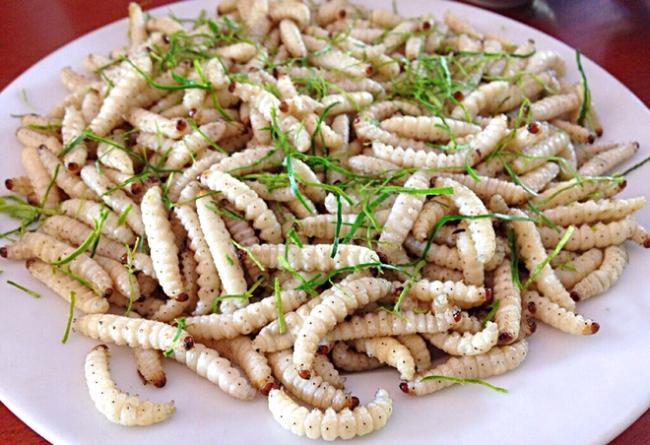 Những món đặc sản Tây Bắc khiến thực khách 'rùng mình' 