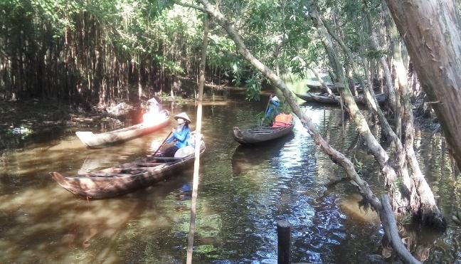 Những chuyện lạ khi du lịch Đồng Tháp 