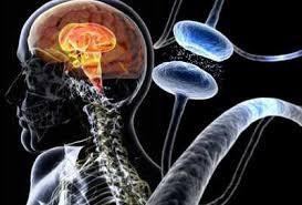 Thuốc ho Ambroxol có thêm tác dụng chữa bệnh parkinson 