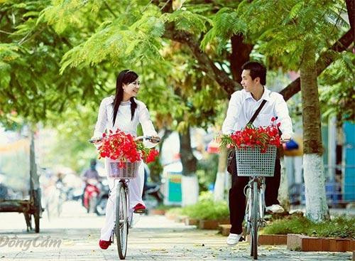 Giao mùa trên giảng đường đầy cỏ dại... 
