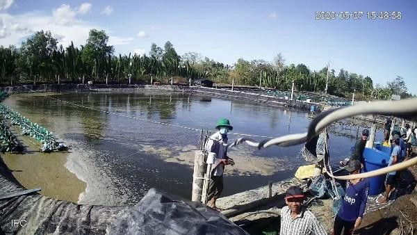 Hút thuốc lá cũng dễ gây bệnh phình động mạch chủ bụng 