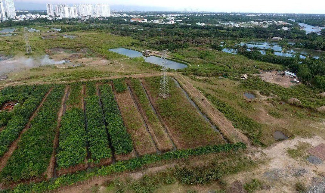 Khu đất hơn 30 ha của Công ty Tân Thuận bán cho Công ty Quốc Cường Gia Lai /// ẢNH: ĐỘC LẬP