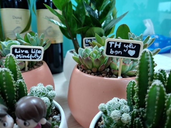 Ngày Quốc tế Hạnh phúc ở ‘Top 6 nơi làm việc tốt nhất Việt Nam’ TH Group 