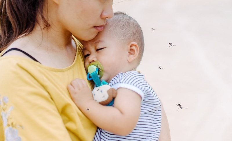 Sau ca tử vong đầu tiên do viêm não, Bộ Y tế ra khuyến cáo 