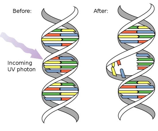 loai-tia-cuc-tim-diet-vi-rut-sars-cov-2-hieu-qua-nhat1(1).jpg