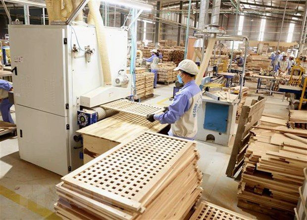 Luật chống phá rừng của Anh tác động thế nào đến ngành gỗ Việt Nam?