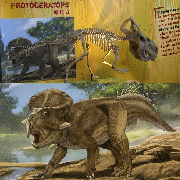 protoceratops-insta.jpg