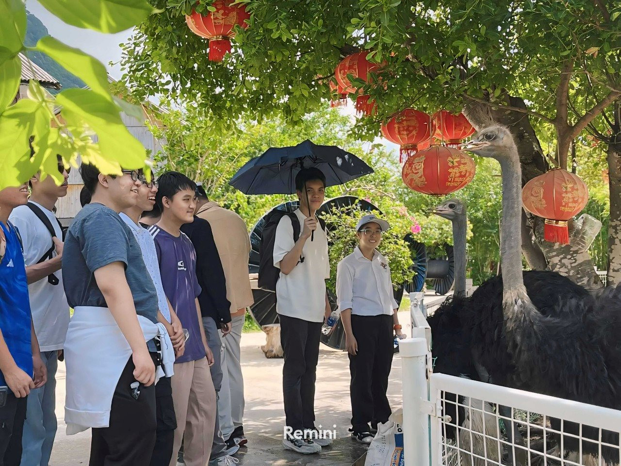 6.safari-thu-nho-giua-dong-bang.jpg