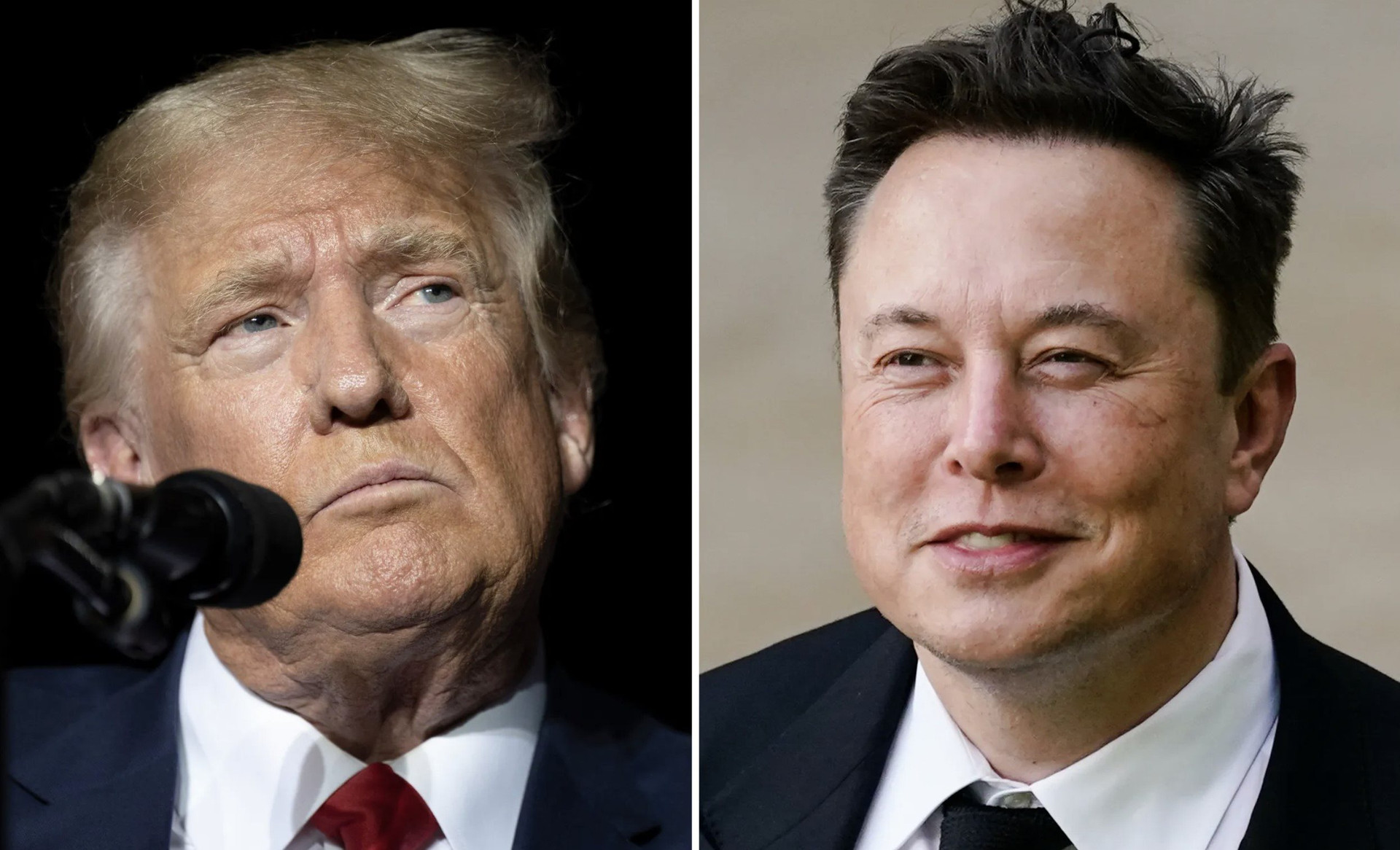 elon-musk-viec-ong-trump-chong-lai-su-ho-tro-o-to-dien-se-gay-ton-hai-cho-cac-doi-thu-canh-tranh-nhieu-hon-tesla.jpg