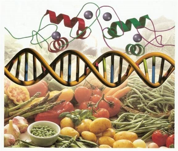 genetic-food.jpg