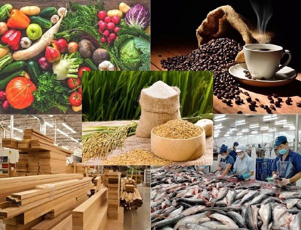 Mỹ áp thuế đối ứng 46% với Việt Nam: Nông sản Việt ứng phó ra sao?
