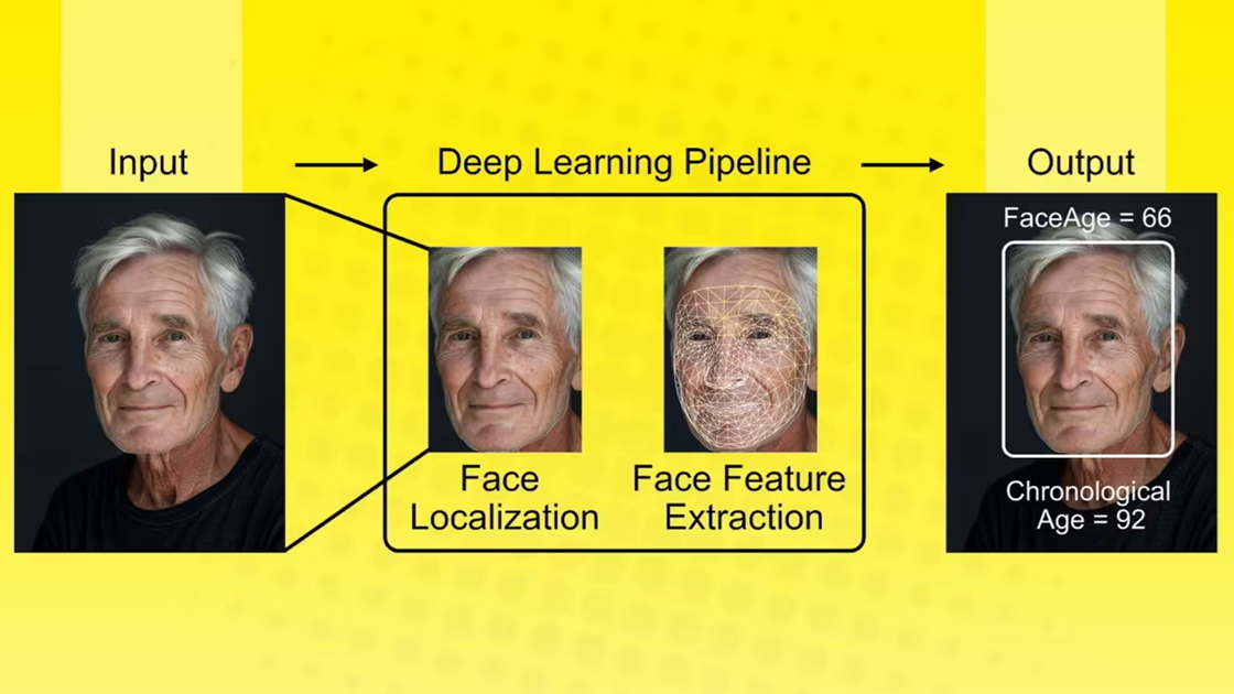 ai-phan-tich-mac(1).png