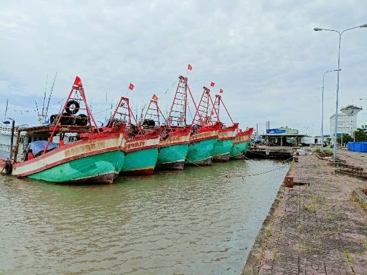 iuu.jpg