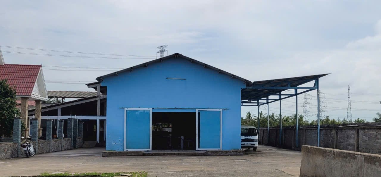 lo-4.jpg