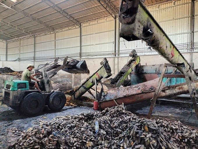 sr-dua-vo-xly1-minh-dam.jpg