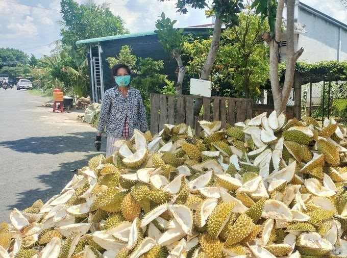 sr-minh-dam.jpg