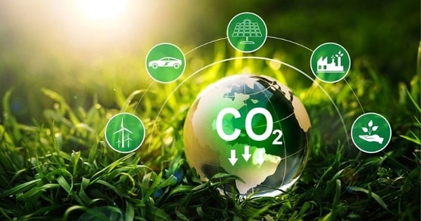 thi-truong-carbon.jpg