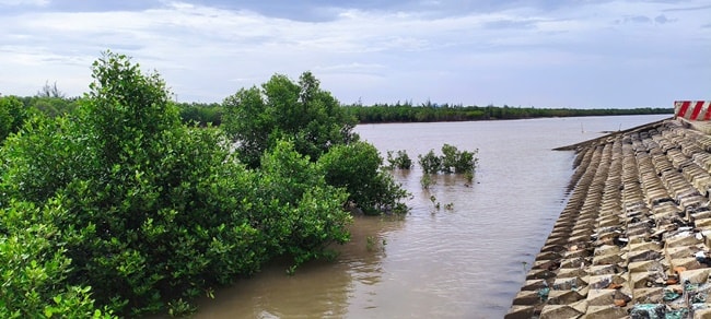 đê biển 2