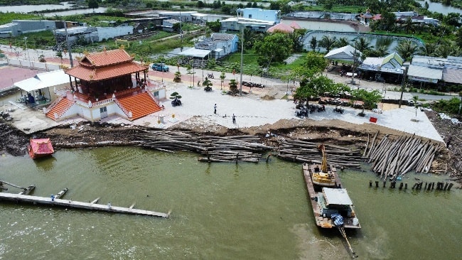 Để khắc phục, địa phương đã sử dụng cọc bằng gỗ dừa xịa gia cố để hạn chế sạt lở, bảo vệ bờ sông.