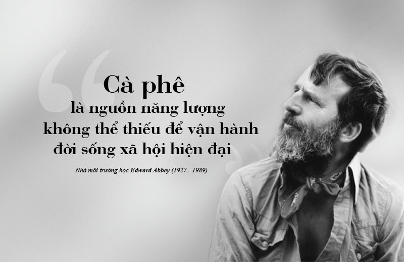 Hình 1 - Hình chủ MTG