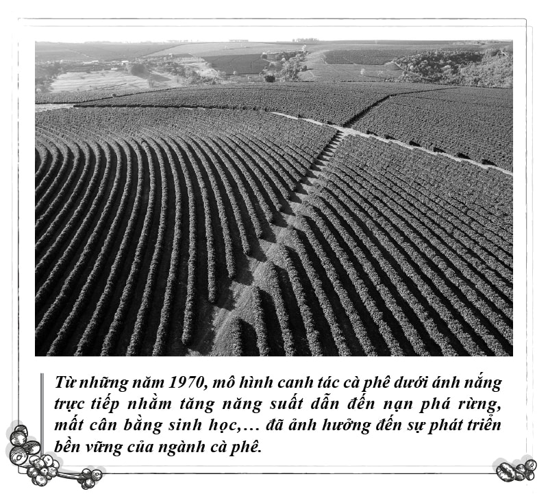 Kỳ 112 - Hình 2