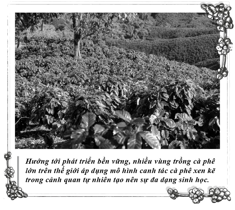 Kỳ 112 - Hình 3