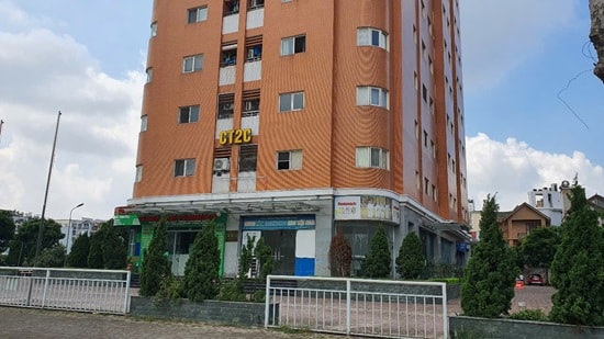 c1.jpg