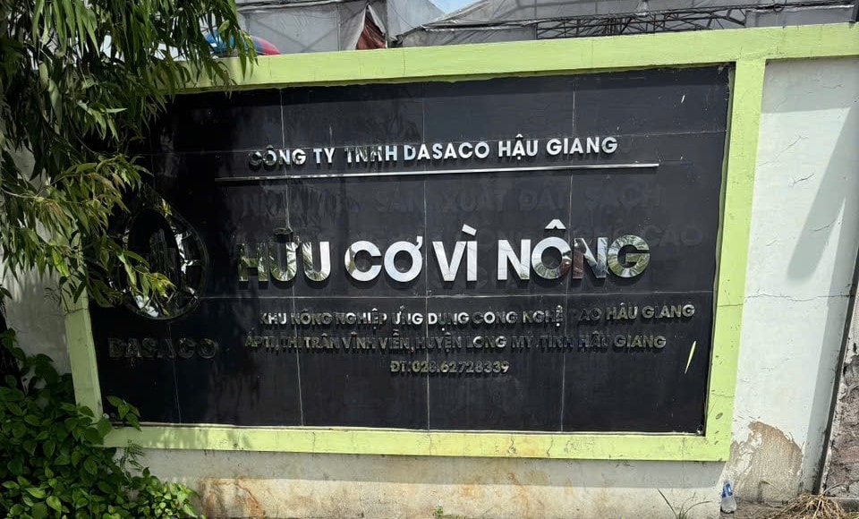 dong chat thai 6