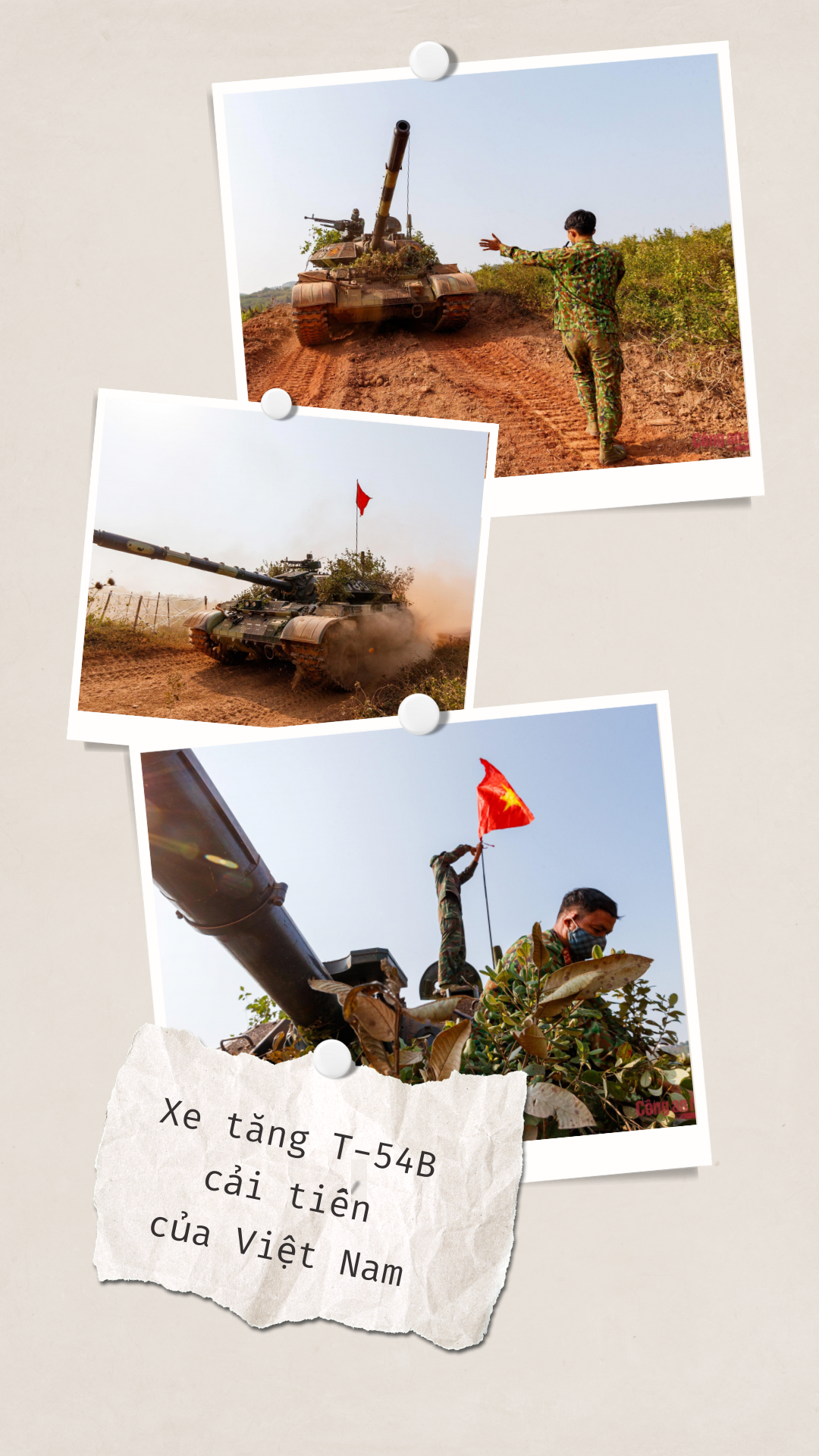 t54_02(1).png