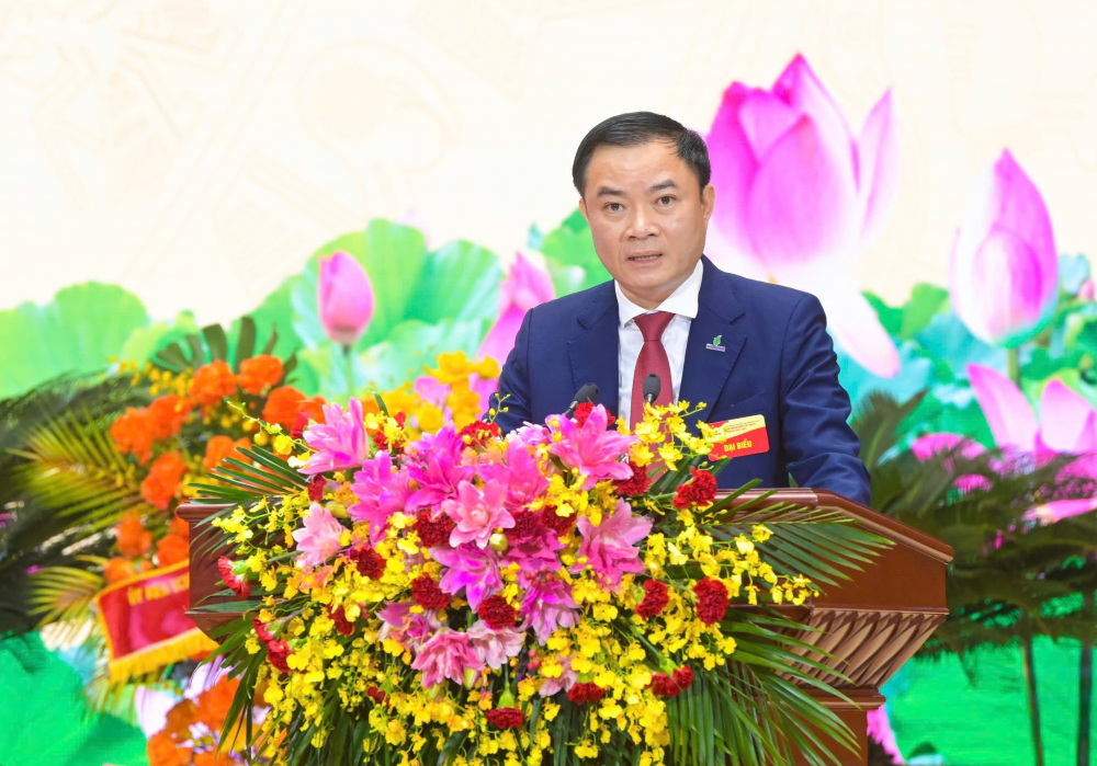 anh5pvn.png
