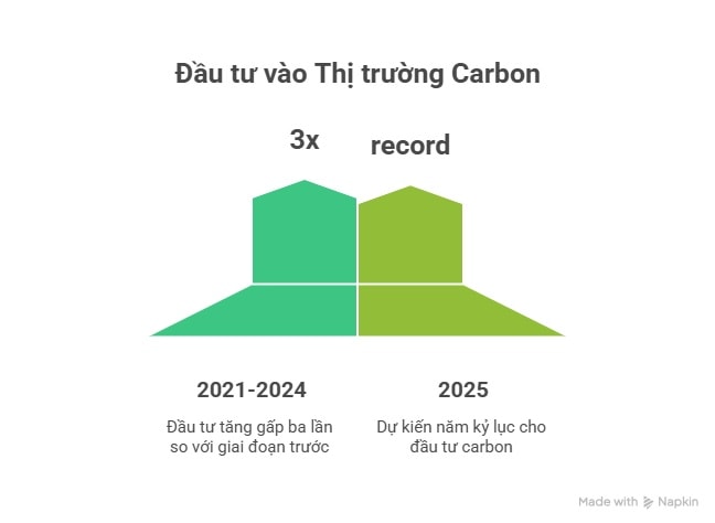 carbon.jpg