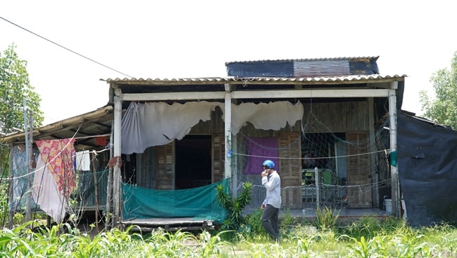 Lở 2