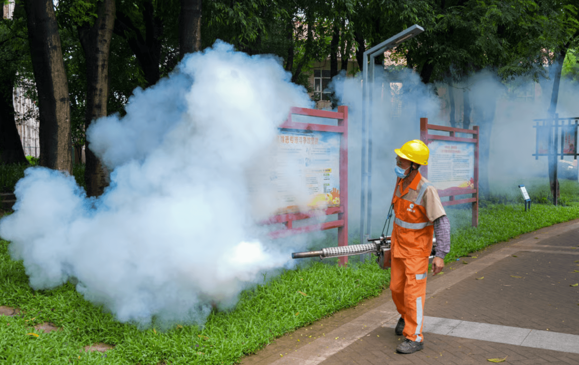Chuyên gia Diệt muỗi không đủ chống lại bùng phát dịch chikungunya ở Trung Quốc (1)