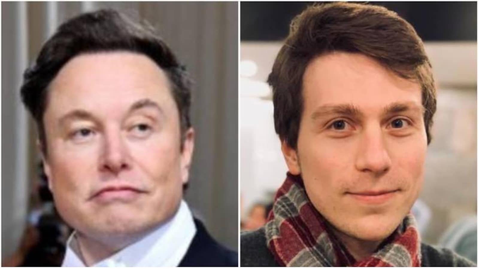 musk.jpeg