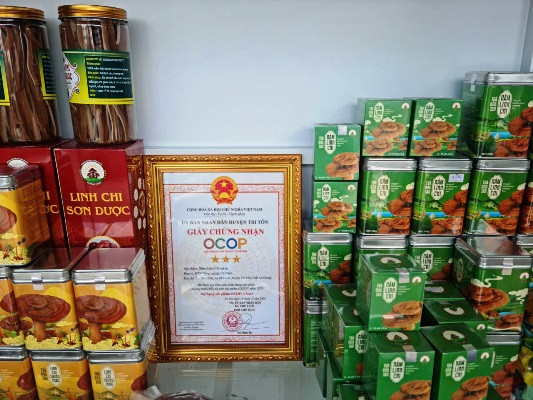 7 nấm7