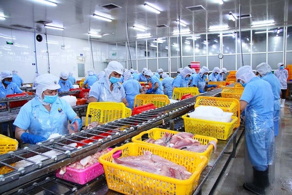 Nâng cao giá trị sản phẩm cá tra bằng khoa học công nghệ 