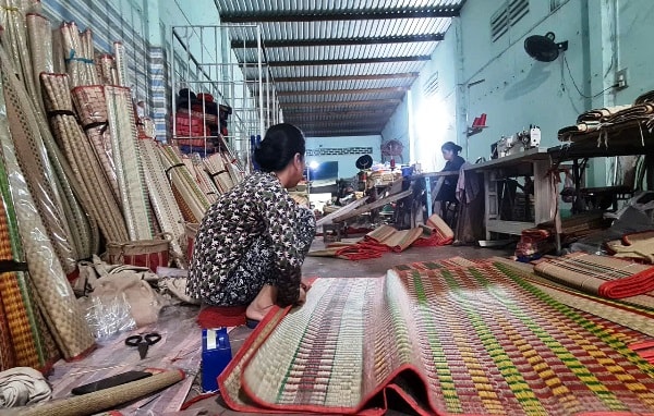 4 chiếu4
